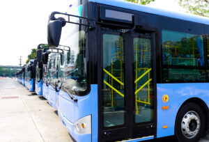 zebus charging zebus charging